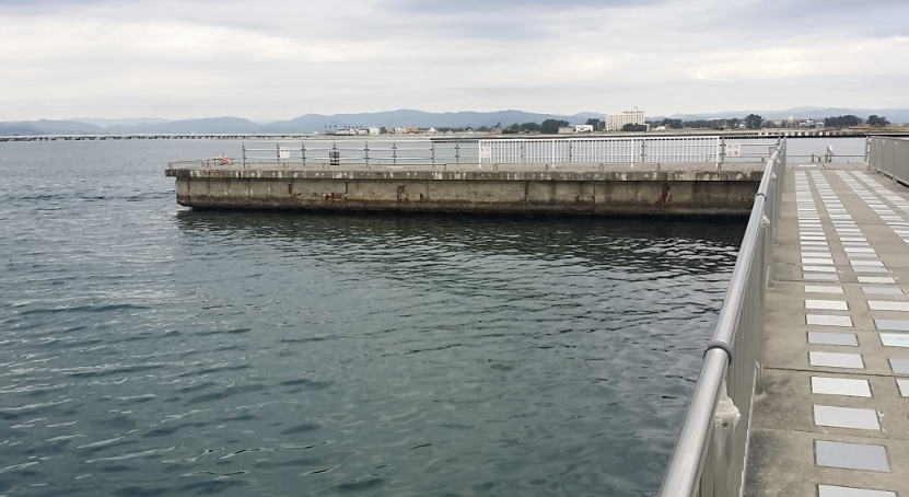 浜名湖 新居海釣り公園 新居堤の釣り場 ポイント情報
